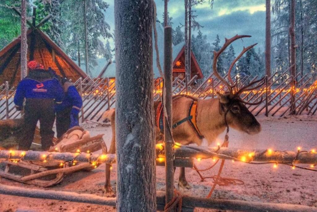 Cosy - Perfect For Your In Rovaniemi! * Rovaniemi