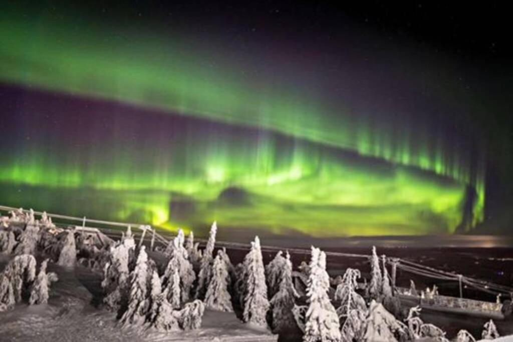 Cosy - Perfect For Your In Rovaniemi! Appartement
